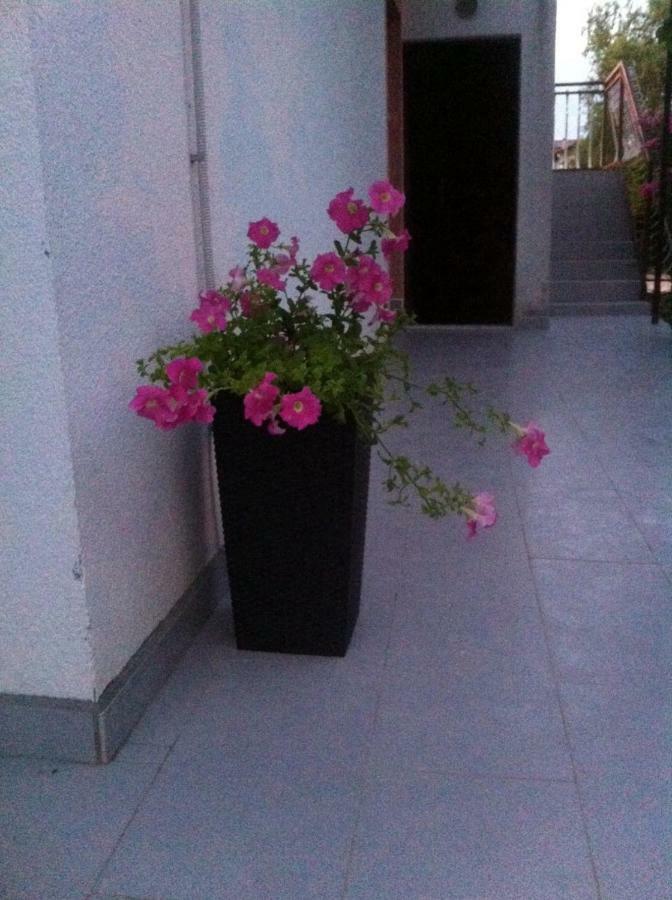 Apartmani Jadranka Vodice Extérieur photo